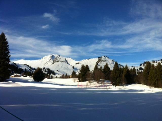 Terrasses Du Mont Blanc Leilighet Le Praz de Lys Eksteriør bilde